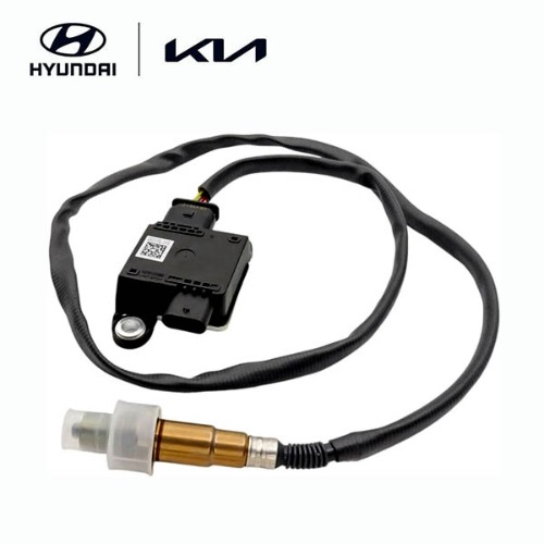 PM Sensor Sorento