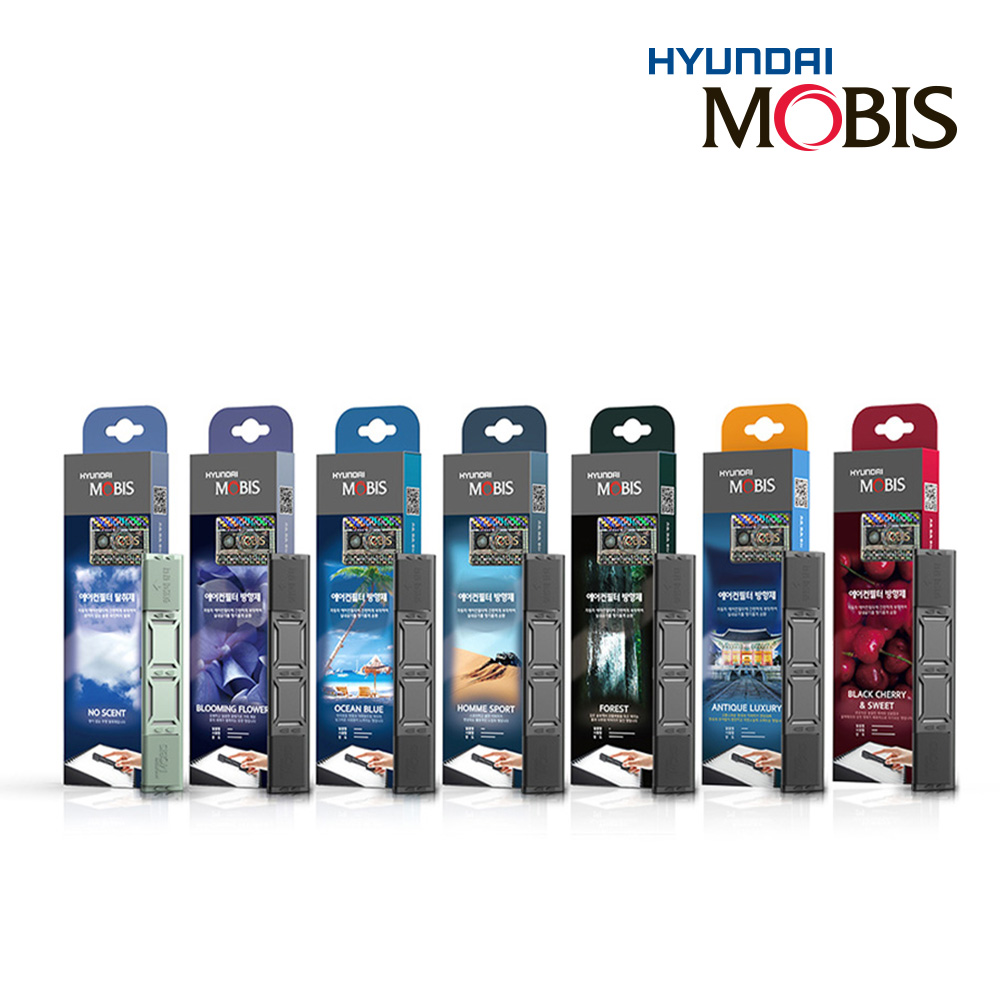 Hyundai AirFilter 6 MOBIS