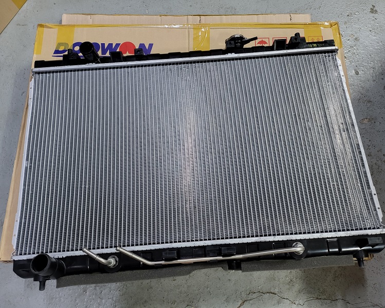 Carnival Radiator 253104D101 2FF