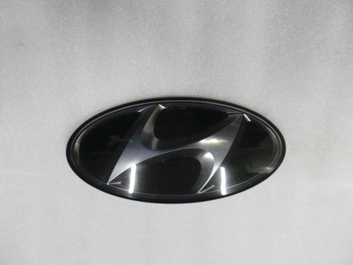 Santa Fe CM Door (Door)-Driver Side 823012BET0HZW 2009 - Driver Side (Left)