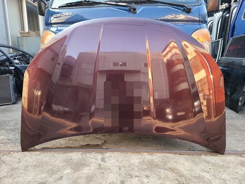 Korando Door